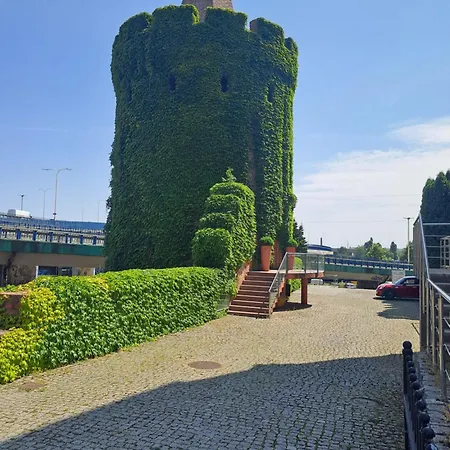 Kryształowy *